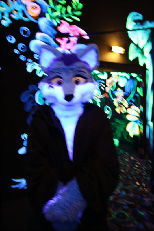 [Hai_FursuitBlackLight_201301_0580.jpg]