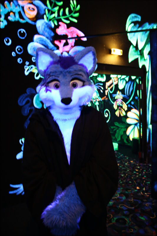 [Hai_FursuitBlackLight_201301_0581.jpg]