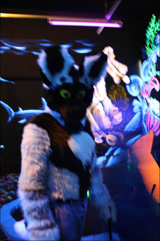 [Hai_FursuitBlackLight_201301_0582.jpg]