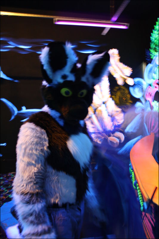 [Hai_FursuitBlackLight_201301_0583.jpg]