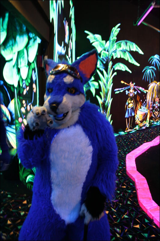 [Hai_FursuitBlackLight_201301_0587.jpg]