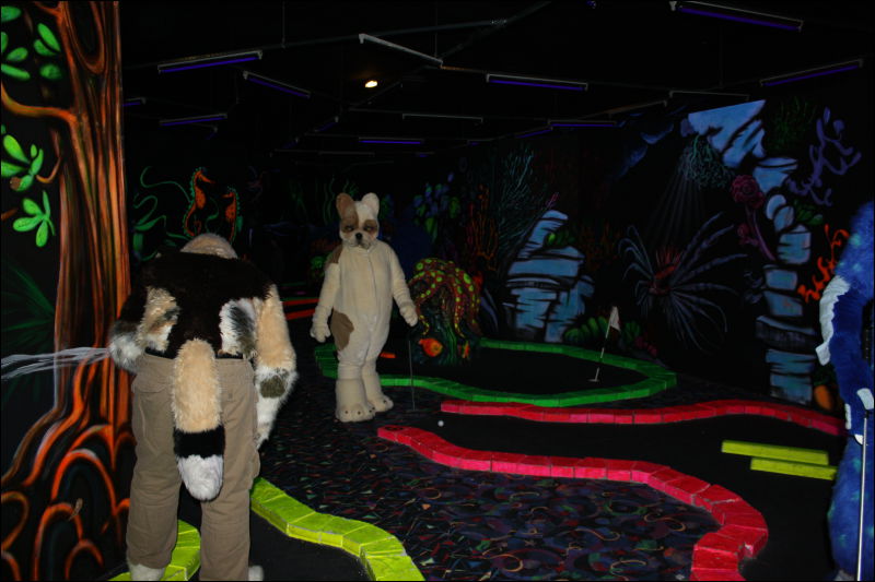 [Hai_FursuitBlackLight_201301_0593.jpg]