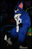 [Hai FursuitBlackLight 201301 0594]