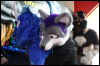 [Hai FursuitBlackLight 201301 0598]