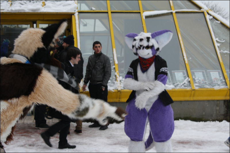 [Hai_FursuitBlackLight_201301_0616.jpg]