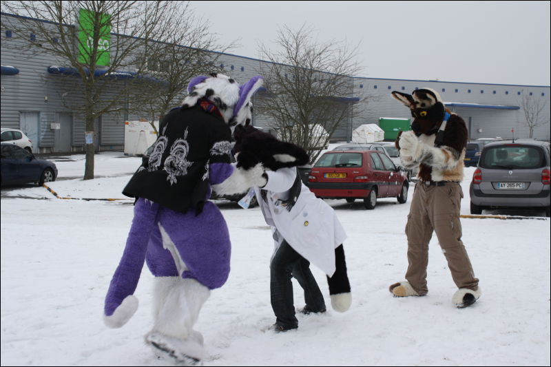 [Hai_FursuitBlackLight_201301_0621.jpg]