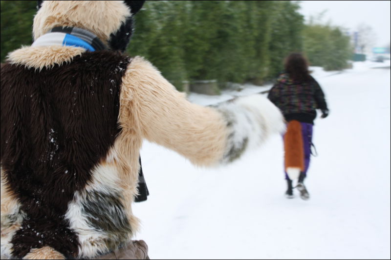 [Hai_FursuitBlackLight_201301_0632.jpg]