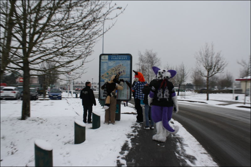 [Hai_FursuitBlackLight_201301_0647.jpg]