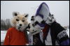 [Hai FursuitBlackLight 201301 0660]