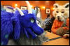 [Hai FursuitBlackLight 201301 0683]