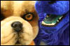 [Hai FursuitBlackLight 201301 0688]