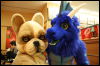 [Hai FursuitBlackLight 201301 0689]