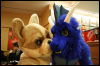 [Hai FursuitBlackLight 201301 0691]