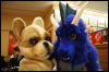 [Hai FursuitBlackLight 201301 0692]