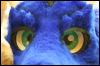 [Hai FursuitBlackLight 201301 0697]