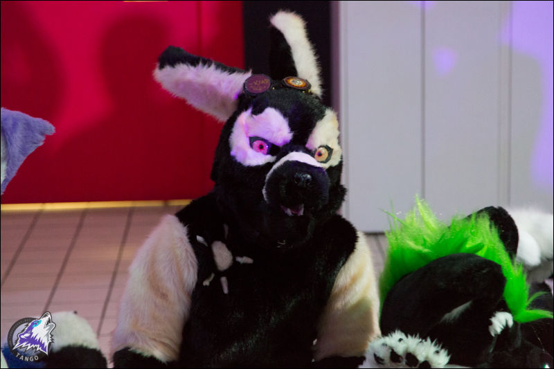 [Tango_FursuitBlackLight_124.jpg]