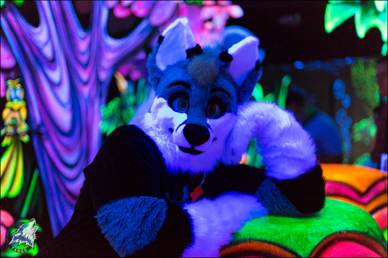 [Tango_FursuitBlackLight_130.jpg]