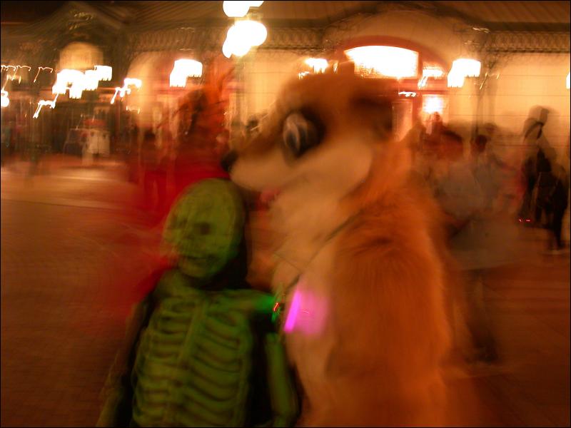 [Num8_200410DisneylandHalloween_02.jpg]