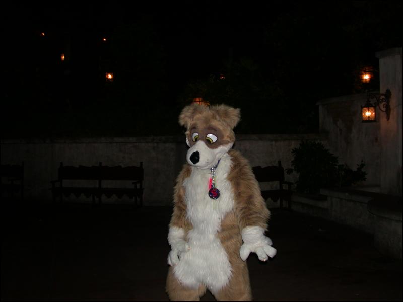 [Num8_200410DisneylandHalloween_63.jpg]