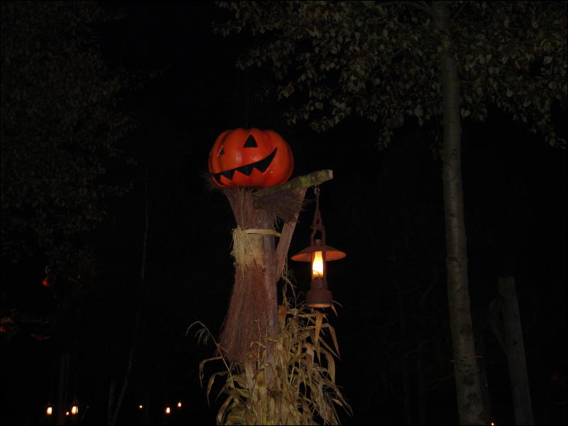 [Yupa_200410DisneylandHalloween_29.jpg]