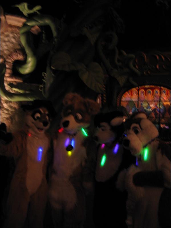 [Aoi_disney05_041.JPG]