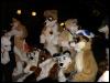 [Furrtek Halloween2006 036]