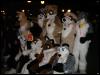 [Furrtek Halloween2006 037]