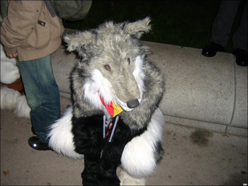 [Furrtek_Halloween2006_041.jpg]