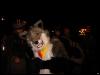 [Furrtek Halloween2006 056]