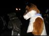 [Furrtek Halloween2006 060]