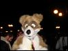 [Furrtek Halloween2006 061]