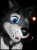 [Furrtek Halloween2006 069]