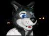 [Furrtek Halloween2006 074]