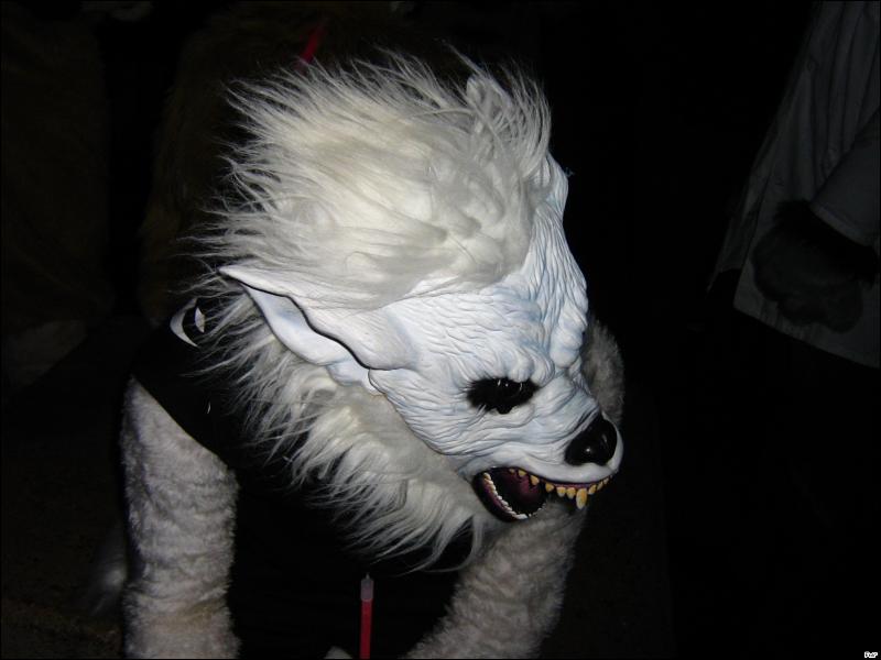 [Furrtek_Halloween2006_091.jpg]