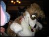 [Furrtek Halloween2006 096]