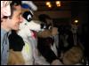 [Furrtek Halloween2006 098]