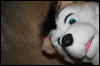 [Kenai Halloween2006 023]