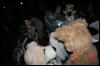 [Kenai Halloween2006 040]