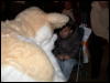 [PanzarDragon Halloween2006 084]