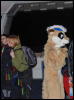 [Furrtek Tim Halloween2007 6106 e]