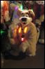 [Kenai Halloween2007 08]