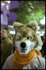 [Kenai Halloween2008 07]