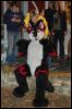 [CorneilG MMD10 136]