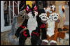 [CorneilG MMD10 150]