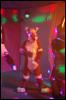 [CorneilG MMD10 177]