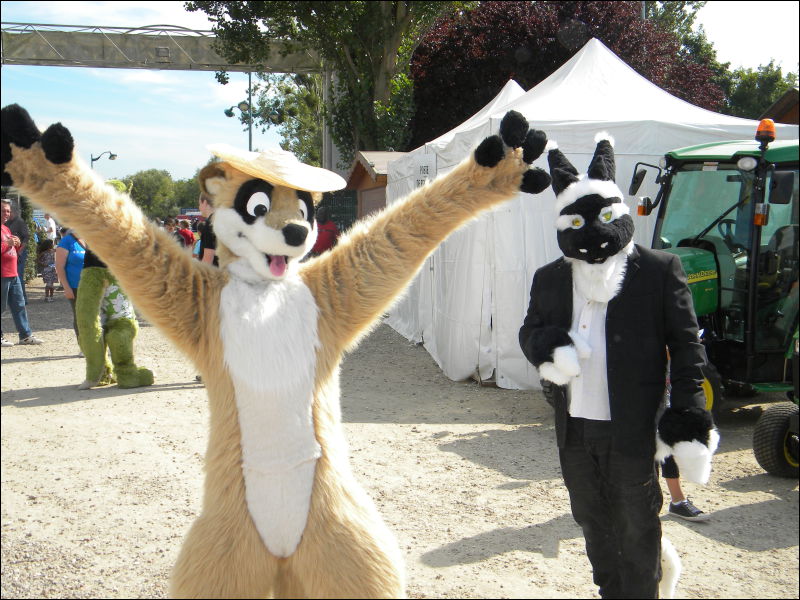 [Racoon_MantesParcExpo007.jpg]