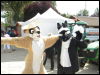 [Racoon MantesParcExpo008]