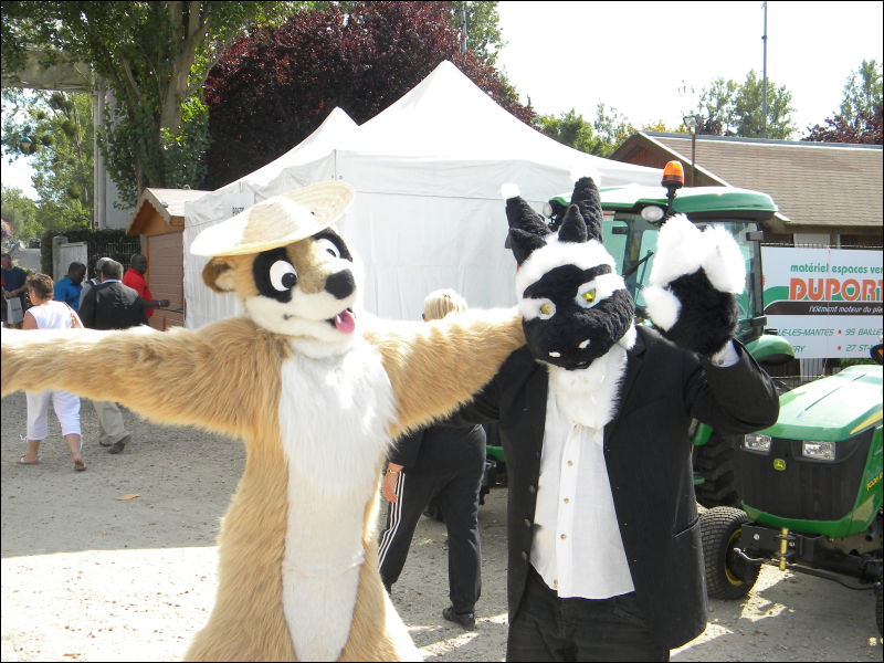 [Racoon_MantesParcExpo008.jpg]