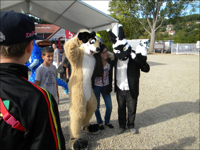 [Racoon_MantesParcExpo040.jpg]