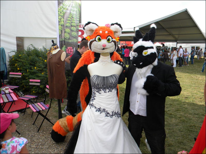 [Racoon_MantesParcExpo053.jpg]